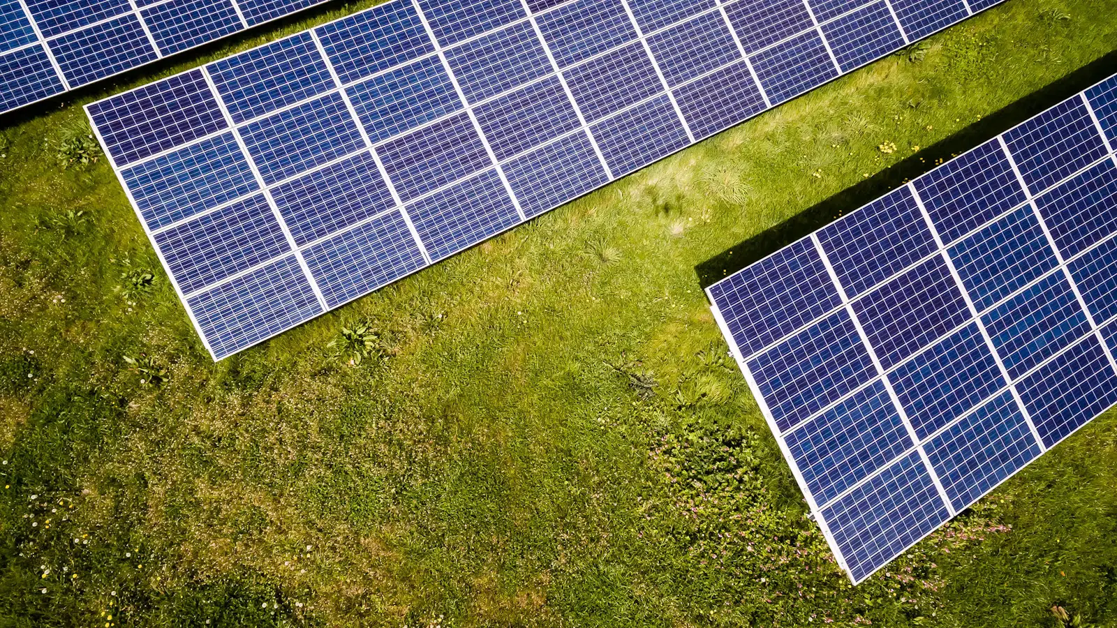 Building Delhi NCR's Trusted Solar Partner